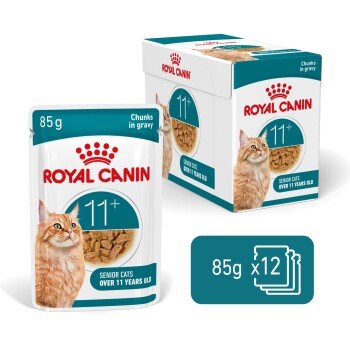 ROYAL CANIN Aging 11+ paloja kastikkeessa - kissan märkäruoka - 12x85g