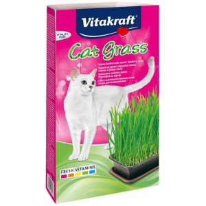 VITAKRAFT Cat Grass - Kit kissoille - 120