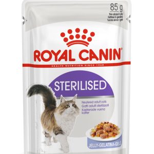 ROYAL CANIN FHN Steriloitu kastikkeessa - märkäruoka aikuisille kissoille - 12x85g