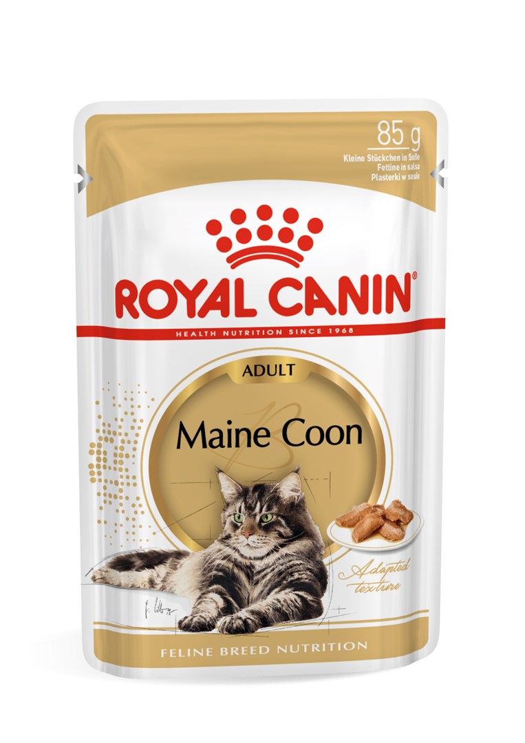 ROYAL CANIN FBN Maine Coon - Kissan märkäruoka - pussi 12x 85g