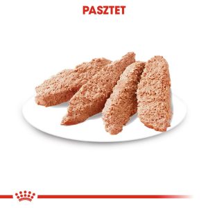 ROYAL CANIN Exigent Koiran märkäruoka Paté 12x85 g