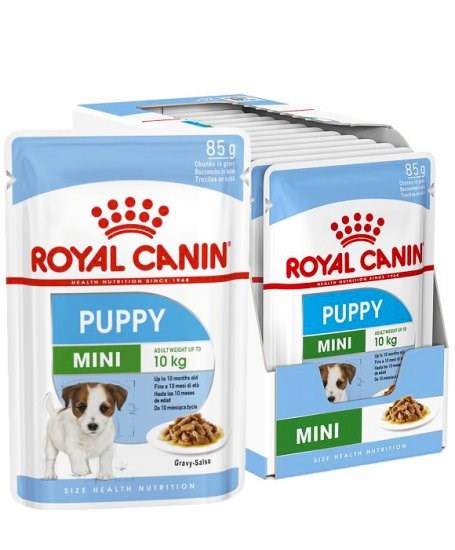 ROYAL CANIN SHN Mini Puppy kastikkeessa - märkä penturuoka - 12X85g