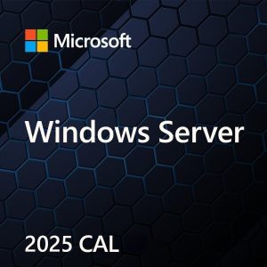 MS Windows Svr CAL 2025 PL 5Clt Device CAL OEM