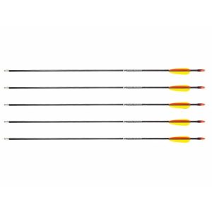 Poe Langin 28 tuuman lasikuitunuolet - 5 kpl sarja (D-055-B3)