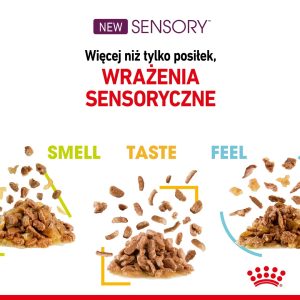 ROYAL CANIN Sensory Feel - kissan märkäruoka - 12x85g