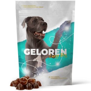 GELOREN Large dog Joints - koiran vitamiinit - 420g